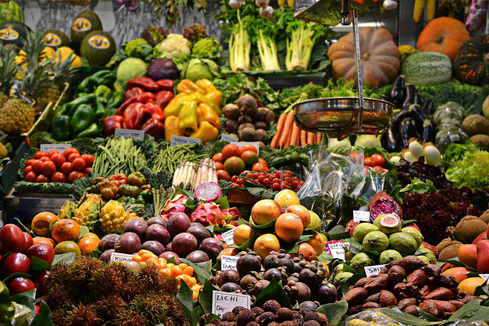 Global Food Expo 2026 w Nadarzynie – co targi oznaczają dla gastronomii?